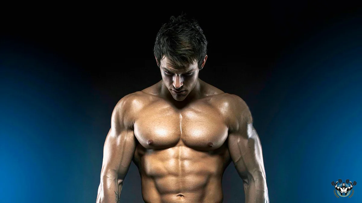 Постцикловая терапия (ПКТ): Ключ к здоровью и успешным результатам