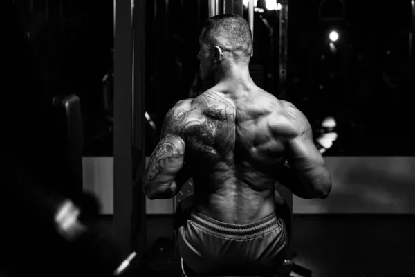 Тяжёлые тренировки на курсе нандролона — защита суставов при предельных нагрузках